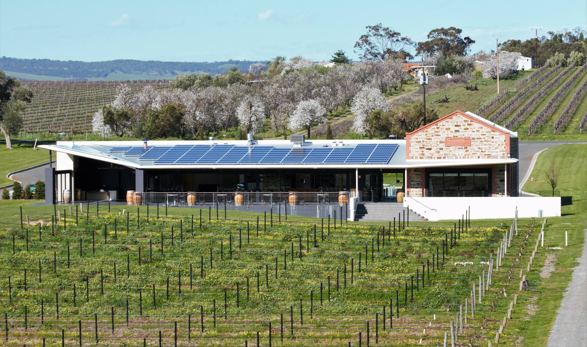 https://www.vinocorpperu.com/images/bodegas/angove/SISTEMA SOLAR-min.jpg